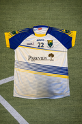 Wicklow LGFA Matchworn Jersey | No.22 - Masita Size 16