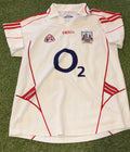 Assorted Jerseys (Large Group)
